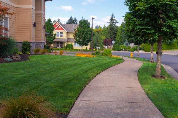 Cost of Sidewalk Patching in West Des Moines