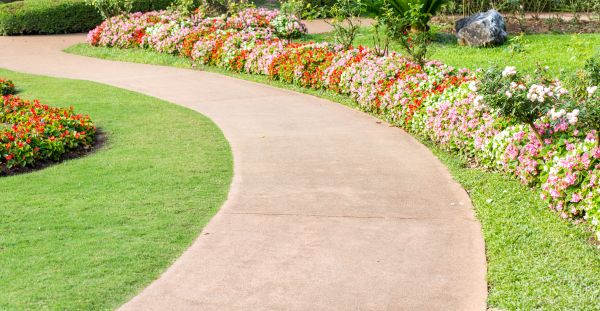 Sidewalk Maintenance Service